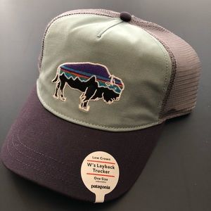 Patagonia FitzRoy Bison Hat